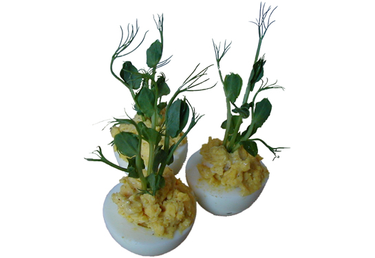 Deviled Eggs with Pea Shoots